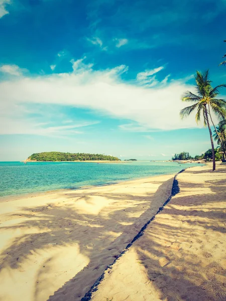 Пляж Море Кокосовой Пальмой Путешествий Отдыха — стоковое фото