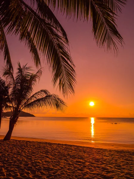 Hermosa Playa Tropical Mar Océano Con Palmera Coco Amanecer Para —  Fotos de Stock