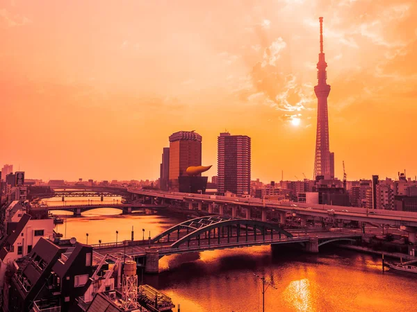 Beautiful Cityscape Tokyo Sky Tree Architecture Building Tokyo City Japan — Stock Photo, Image