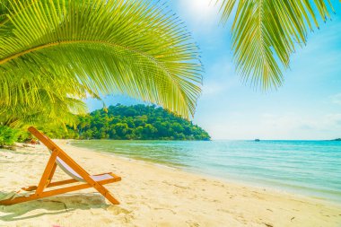 Sandalyenin üstünde güzel tropikal plaj ve deniz paradise Island Seyahat ve tatil için Hindistan cevizi hurma ağacı