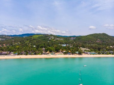 Seyahat ve tatil için adada güzel tropikal plaj ve deniz ağaçları ile havadan görünümü