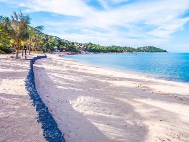 Güzel tropikal plaj ve deniz ile Hindistan cevizi hurma ağacının seyahat ve tatil