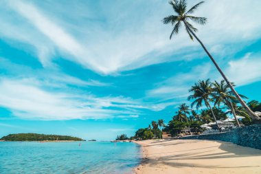 Güzel tropikal plaj deniz ve kum mavi gökyüzü ve beyaz bulut seyahat ve tatil için Hindistan cevizi hurma ağacı ile