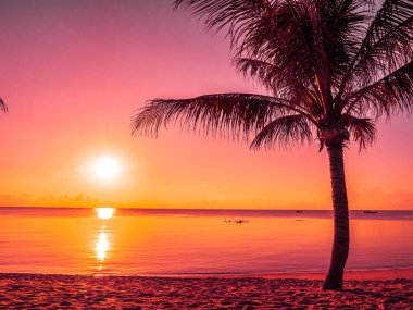 Güzel tropikal plaj deniz ve okyanus ile Hindistan cevizi hurma ağacı gündoğumu zaman seyahat ve tatil için
