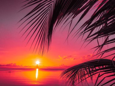 Güzel tropikal plaj deniz ve okyanus ile Hindistan cevizi hurma ağacı gündoğumu zaman seyahat ve tatil için