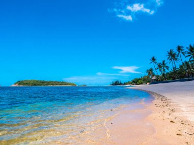 Güzel tropikal plaj ve deniz ile Hindistan cevizi hurma ağacının seyahat ve tatil