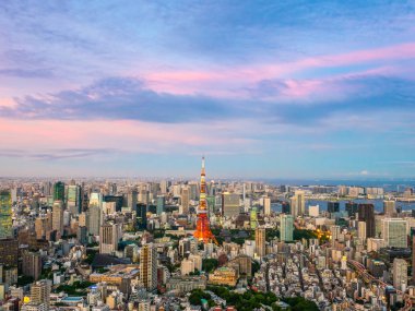 Japonya'da günbatımı zaman şehirde bina mimari ve tokyo kule güzel havadan görünümü