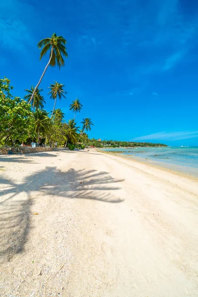 Schöner Tropischer Strand Meer Und Sand Mit Kokospalmen Blauen Himmel — Stockfoto