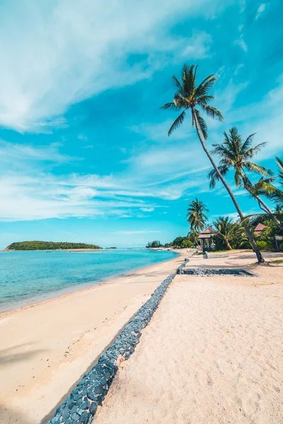 Güzel tropikal plaj deniz ve kum mavi gökyüzü ve beyaz bulut seyahat ve tatil için Hindistan cevizi hurma ağacı ile