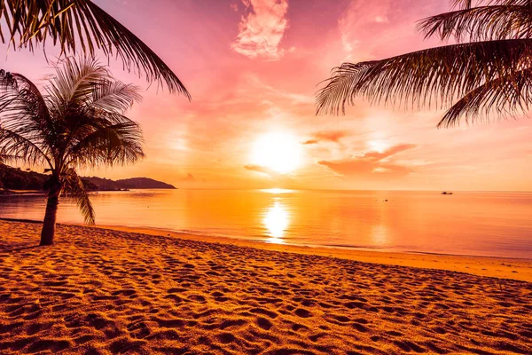 Pôr Sol Ilha Paradisíaca Tropical Praia Mar Com Coqueiro Para — Fotografia de Stock