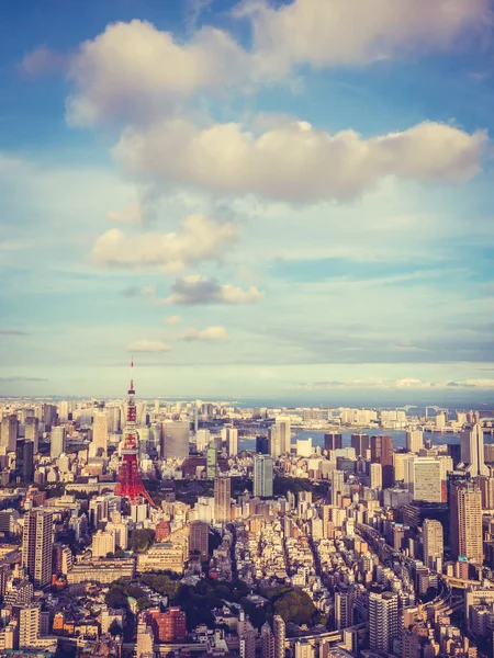 Japonya Mavi Gökyüzü Beyaz Bulut Ile Güzel Mimari Yapı Ile — Stok fotoğraf