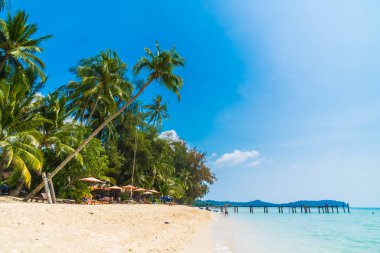 Güzel tropikal plaj ve Hindistan cevizi hurma ağacı Cennet Adası - tatil tatil kavramı ile