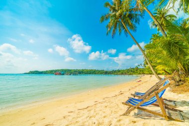 Sandalyenin üstünde güzel tropikal plaj ve deniz paradise Island Seyahat ve tatil için Hindistan cevizi hurma ağacı