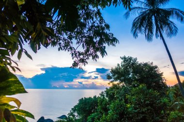 Güzel tropikal deniz okyanus cennet adayı gündoğumu zaman içinde Hindistan cevizi hurma ağacı