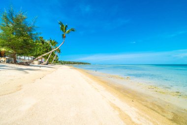 Güzel tropikal plaj deniz ve kum mavi gökyüzü ve beyaz bulut seyahat ve tatil için Hindistan cevizi hurma ağacı ile