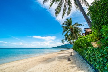 Güzel tropikal plaj deniz ve kum mavi gökyüzü ve beyaz bulut seyahat ve tatil için Hindistan cevizi hurma ağacı ile