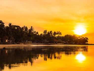 Güzel tropikal plaj deniz ve okyanus ile Hindistan cevizi hurma ağacı gündoğumu zaman seyahat ve tatil için