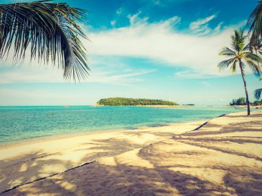 Güzel tropikal plaj ve deniz ile Hindistan cevizi hurma ağacının seyahat ve tatil