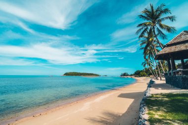 Güzel tropikal plaj deniz ve kum mavi gökyüzü ve beyaz bulut seyahat ve tatil için Hindistan cevizi hurma ağacı ile