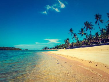 Güzel tropikal plaj ve deniz ile Hindistan cevizi hurma ağacının seyahat ve tatil