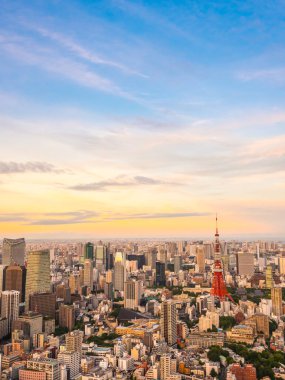 Japonya'da günbatımı zaman şehirde bina mimari ve tokyo kule güzel havadan görünümü