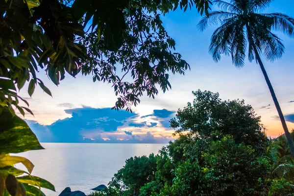 Güzel tropikal deniz okyanus cennet adayı gündoğumu zaman içinde Hindistan cevizi hurma ağacı
