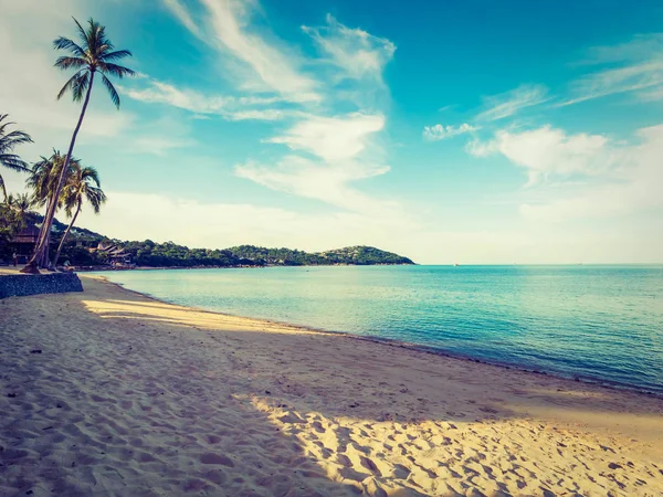 Wunderschöner Tropischer Strand Und Meer Mit Kokospalmen Für Reise Und — Stockfoto