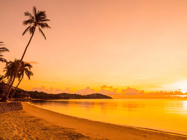 Güzel tropikal plaj deniz ve okyanus ile Hindistan cevizi hurma ağacı gündoğumu zaman seyahat ve tatil için