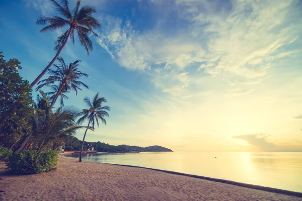 Napnyugta Időpontja Trópusi Paradicsomban Island Beach Kókusz Pálma Tenger Üdülés — Stock Fotó