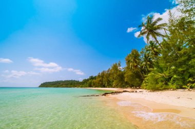 Güzel Cennet Adası ile Hindistan cevizi hurma ağacı - tatil tatil kavramı etrafında deniz ve plaj peyzaj