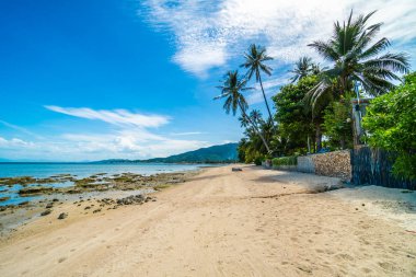 Güzel tropikal plaj deniz ve kum mavi gökyüzü ve beyaz bulut seyahat ve tatil için Hindistan cevizi hurma ağacı ile