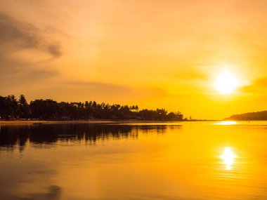Güzel tropikal plaj deniz ve okyanus ile Hindistan cevizi hurma ağacı gündoğumu zaman seyahat ve tatil için