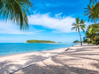 Güzel tropikal plaj ve deniz ile Hindistan cevizi hurma ağacının seyahat ve tatil