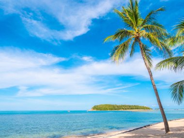 Güzel tropikal plaj ve deniz ile Hindistan cevizi hurma ağacının seyahat ve tatil