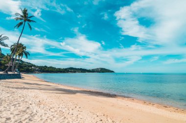 Güzel tropikal plaj deniz ve kum mavi gökyüzü ve beyaz bulut seyahat ve tatil için Hindistan cevizi hurma ağacı ile