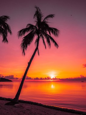 Güzel tropikal plaj deniz ve okyanus ile Hindistan cevizi hurma ağacı gündoğumu zaman seyahat ve tatil için