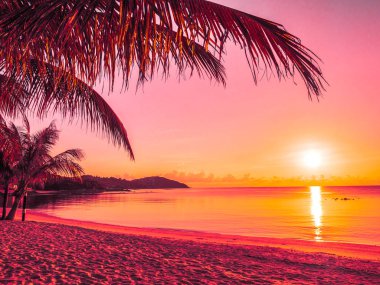 Güzel tropikal plaj deniz ve okyanus ile Hindistan cevizi hurma ağacı gündoğumu zaman seyahat ve tatil için