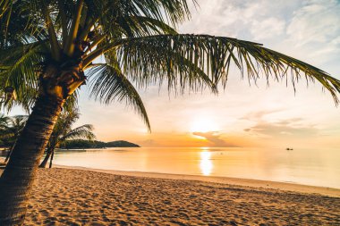 Günbatımı zaman tropik cennet ada plaj ve deniz ile Hindistan cevizi palmiye ağacı üzerinde tatil ve tatil için
