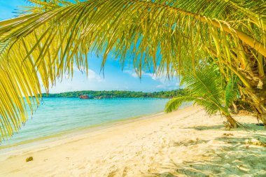 Güzel tropikal plaj ve deniz paradise Island Seyahat ve tatil için Hindistan cevizi hurma ağacı