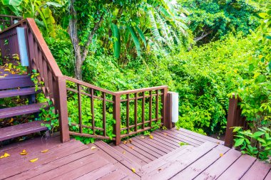 Seyahat ve tatil için bir ağaç ormandaki açık ahşap merdiven