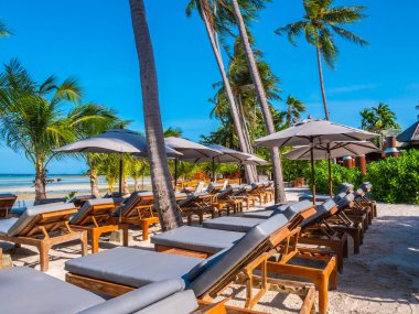 Şemsiye ve sandalyenin üstüne Hindistan cevizi hurma ağacının seyahat ve tatil etrafında mavi gökyüzü ile plaj ve okyanus