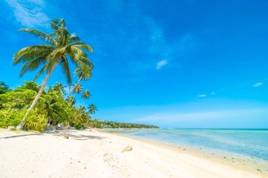 Güzel tropikal plaj deniz ve kum mavi gökyüzü ve beyaz bulut seyahat ve tatil için Hindistan cevizi hurma ağacı ile
