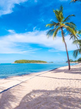 Güzel tropikal plaj ve deniz ile Hindistan cevizi hurma ağacının seyahat ve tatil
