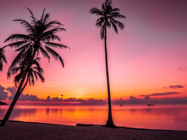 Güzel tropikal plaj deniz ve okyanus ile Hindistan cevizi hurma ağacı gündoğumu zaman seyahat ve tatil için