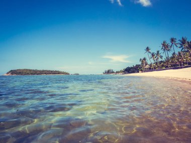 Güzel tropikal plaj ve deniz ile Hindistan cevizi hurma ağacının seyahat ve tatil