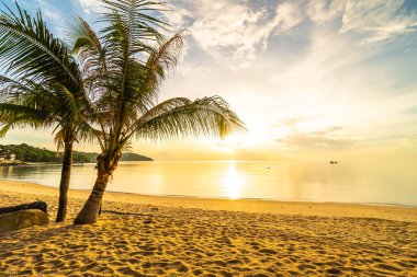 Günbatımı zaman tropik cennet ada plaj ve deniz ile Hindistan cevizi palmiye ağacı üzerinde tatil ve tatil için