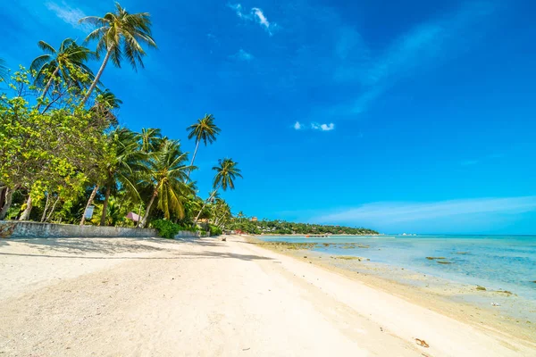 Schöner Tropischer Strand Meer Und Sand Mit Kokospalmen Blauen Himmel — Stockfoto