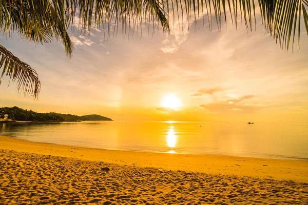 Napnyugta Időpontja Trópusi Paradicsomban Island Beach Kókusz Pálma Tenger Üdülés — Stock Fotó