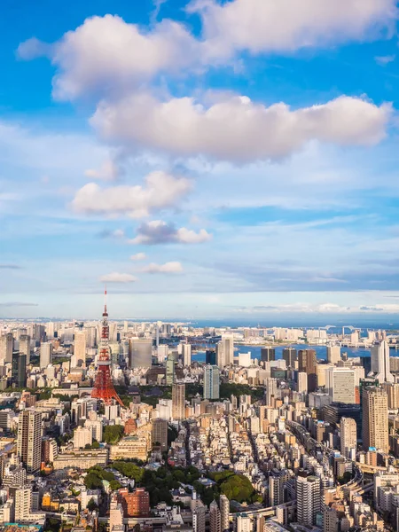 Krásné Architektury Budování Kolem Města Tokio Tokyo Tower Japonsku Modrou — Stock fotografie