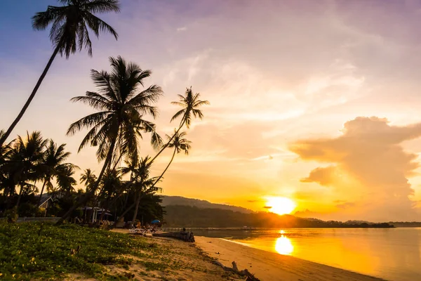 Beautiful Outdoor View Ocean Beach Tropical Coconut Palm Sunrise Time — стоковое фото